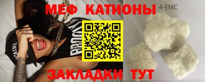 индика Гусев