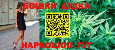 индика Гусев