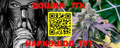 индика Гусев