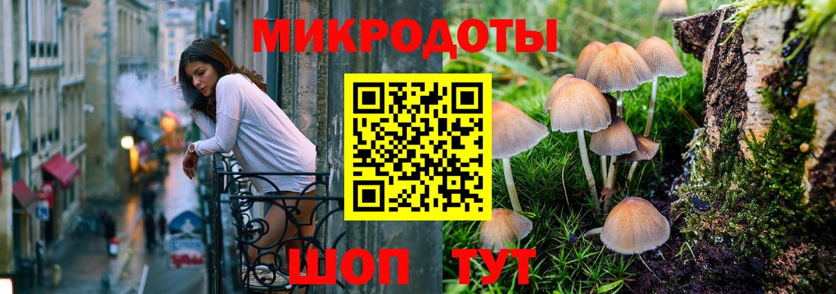 Галлюциногенные грибы Cubensis Нерюнгри