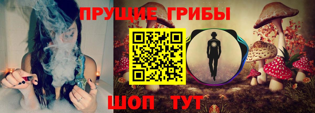 Галлюциногенные грибы MAGIC MUSHROOMS  Вход с VPN  Нерюнгри  Галлюциногенные грибы MAGIC MUSHROOMS 